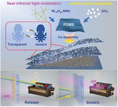 Bio-inspired Mechanically Responsive Smart Windows for Visible and Near-Infrared Multiwavelength Spectral Modulation.