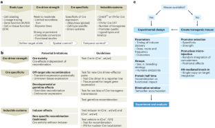 A safety guide for transgenic Cre drivers in metabolism