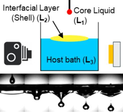 Interface Dynamics at a Four-Fluid Interface during Droplet Impact on a Two-Fluid System.