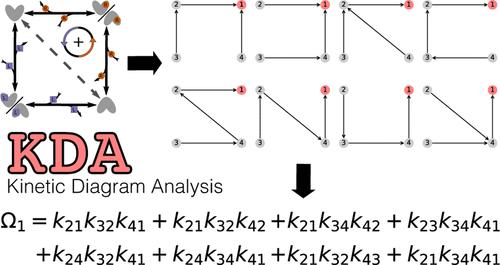 Kinetic Diagram Analysis: A Python Library for Calculating Steady-State Observables of Biochemical Systems Analytically.