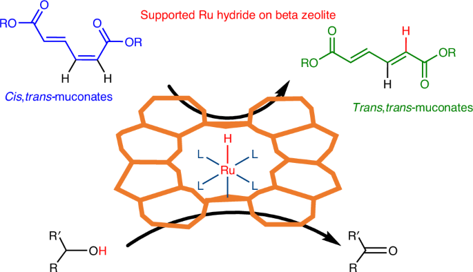 Atomically dispersed ruthenium hydride on beta zeolite as catalysts for the isomerization of muconates