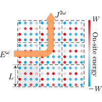 Nonlinear Hall effect on a disordered lattice