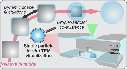Imaging Dissolution Dynamics of Individual NaCl Nanoparticles during Deliquescence with <i>In Situ</i> Transmission Electron Microscopy.