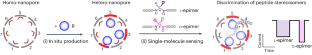 Single-molecule sensing inside stereo- and regio-defined hetero-nanopores