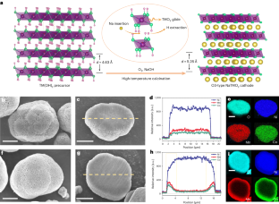 Microstrain screening towards defect-less layered transition metal oxide cathodes