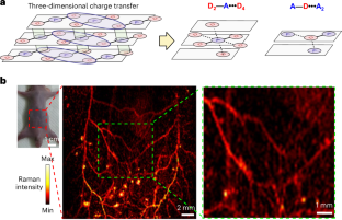 Small molecules self-organized in an orderly manner to enhance Raman signals