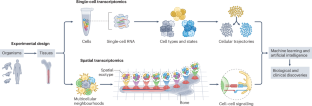 Profiling cell identity and tissue architecture with single-cell and spatial transcriptomics