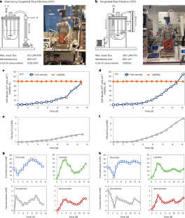 Empirical economic analysis shows cost-effective continuous manufacturing of cultivated chicken using animal-free medium