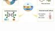 Microplastic environmental behavior and health risk assessment: a review