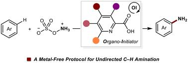 Organo-initiator enabled undirected C–H amination of arenes†