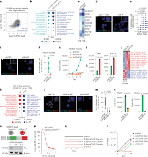 RNA sequestration in P-bodies sustains myeloid leukaemia