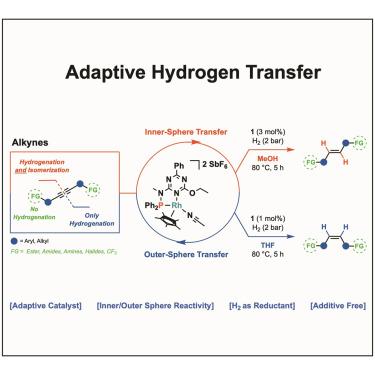 Controlling hydrogen transfer dynamics in adaptive semihydrogenation of alkynes: Unveiling and directing outer- vs. inner-sphere mechanisms