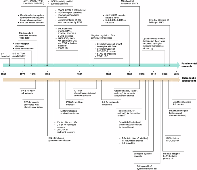 The JAK-STAT pathway: from structural biology to cytokine engineering.