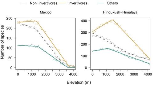 Ant impacts on global patterns of bird elevational diversity