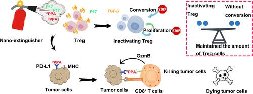 Regulatory T Cells Nanoextinguisher to Manipulate Multiple Immune Evasion for Immunotherapy.