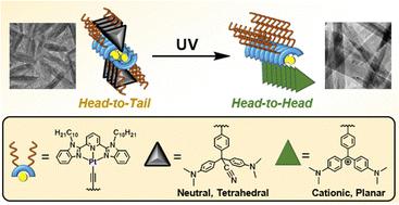 Photoactivable malachite green-based alkynylplatinum(II) 2,6-bis(<i>N</i>-alkylbenzimidazol-2-yl)pyridine complexes.