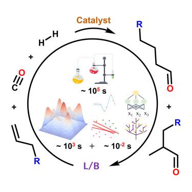 Personalized machine learning models of terminal olefin hydroformylation for regioselectivity prediction