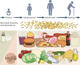 Feeding gut microbes to nourish the brain: unravelling the diet–microbiota–gut–brain axis