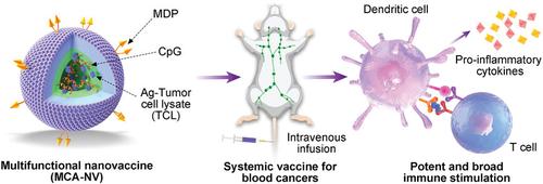 Systemic Multifunctional Nanovaccines for Potent Personalized Immunotherapy of Acute Myeloid Leukemia.