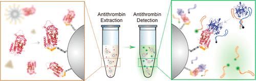 Heparin-Bead Extraction Enhanced Fluorogenic Aptamer-Thrombin Composite Reporter Enables Sensitive and Rapid Detection of Functional Antithrombin.