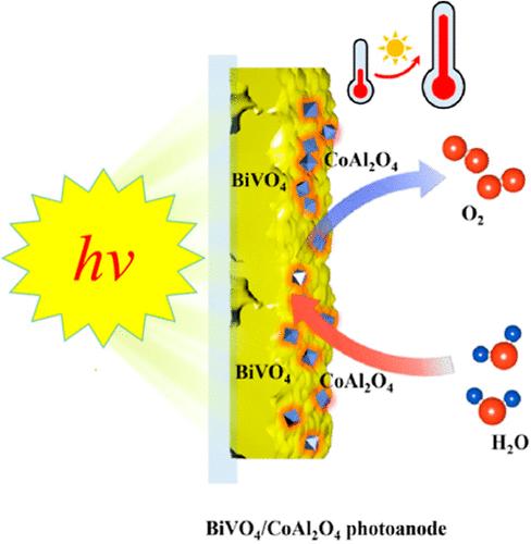 BiVO<sub>4</sub> Film Coupling with CoAl<sub>2</sub>O<sub>4</sub> Nanoparticles for Photoelectrochemical Water Splitting Utilizing Broad Solar Spectrum through p-n Heterojunction, Photothermal, and Cocatalytic Synergism.
