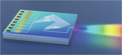 Breaking anisotropy limitations in thin-film lithium niobate arrayed waveguide gratings