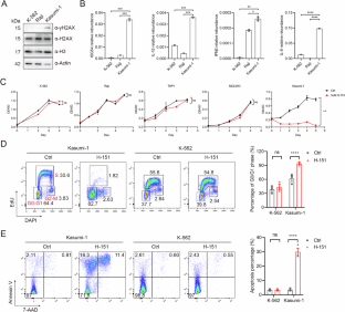 STING is crucial for the survival of RUNX1::RUNX1T1 leukemia cells