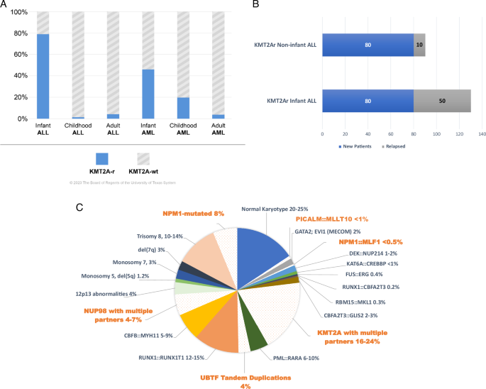 Menin inhibitors in pediatric acute leukemia: a comprehensive review and recommendations to accelerate progress in collaboration with adult leukemia and the international community