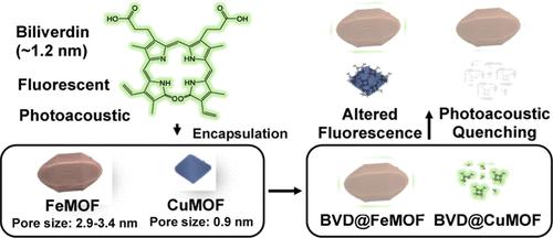 Exploring Biliverdin's Molecular Interactions with Cu- and Fe-Based MOFs: A Unified In Vitro Study with Photoacoustic Analysis.