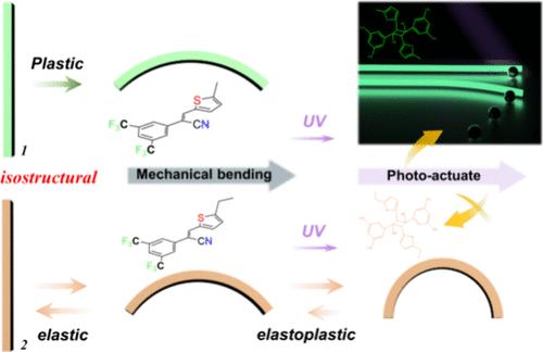Distinct Mechanical Properties and Photomechanical Response from Isostructural, yet Chemically Different Molecular Crystal Actuators