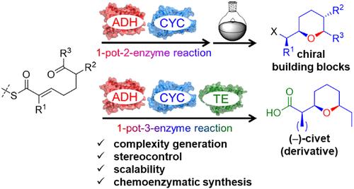 Highly Stereoselective Biocatalytic One-Pot Synthesis of Chiral Saturated Oxygen Heterocycles by Integration of a Biosynthetic Heterocyclase into Multiple-Enzyme Cascades