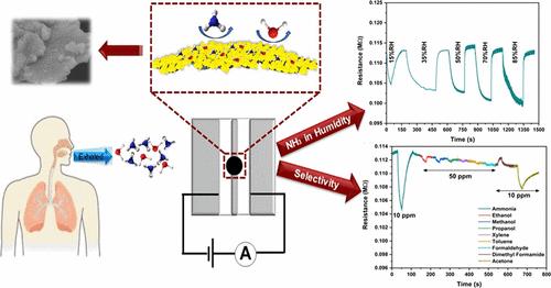Novel Gas Sensing Approach: ReS<sub>2</sub>/Ti<sub>3</sub>C<sub>2</sub>T<sub><i>x</i></sub> Heterostructures for NH<sub>3</sub> Detection in Humid Environments.