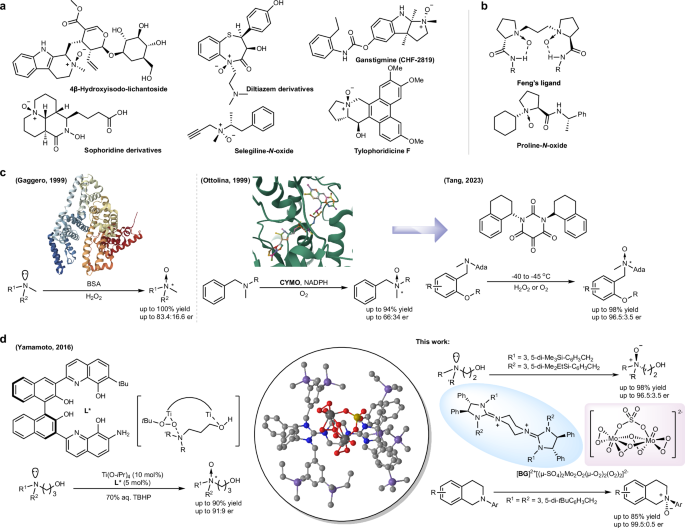 Asymmetric N-oxidation catalyzed by bisguanidinium dinuclear oxodiperoxomolybdosulfate