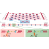 Programmable Photonic Quantum Circuits with Ultrafast Time-Bin Encoding