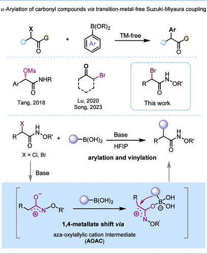 Transition-Metal-Free Direct α-Arylation of Weinreb-type Amides with Arylboronic Acids through Aza-oxyallyl Cation Intermediates.