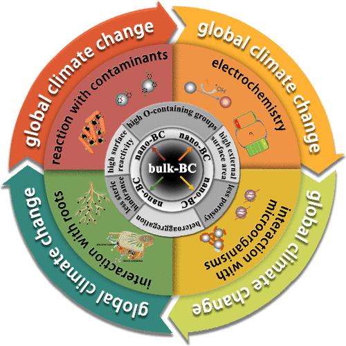 From Bulk to Nano: Formation, Features, and Functions of Nano-Black Carbon in Biogeochemical Processes.