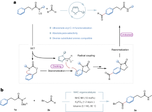 Organocatalytic acylation of remote arene C–H bonds