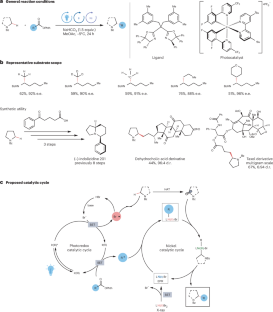 Radical control for enantioselective Csp3–Csp3 cross-coupling