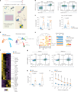 NaCl enhances CD8+ T cell effector functions in cancer immunotherapy