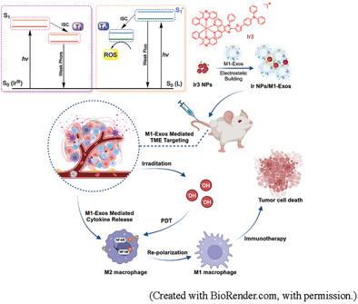 Ir(III)-Based Photosensitizer-Loaded M1 Macrophage Exosomes for Synergistic Photodynamic Therapy