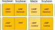 Partner quality matters—overyielding in a maize/soybean mixture depends on the initiator of common mycorrhizal networks