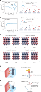 Probing intermediate configurations of oxygen evolution catalysis across the light spectrum