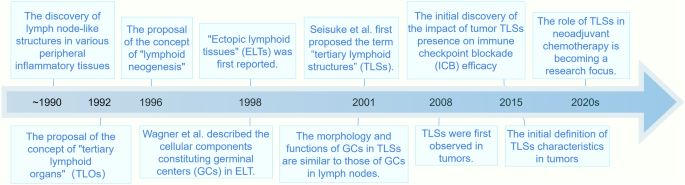 Tertiary lymphoid structures in diseases: immune mechanisms and therapeutic advances