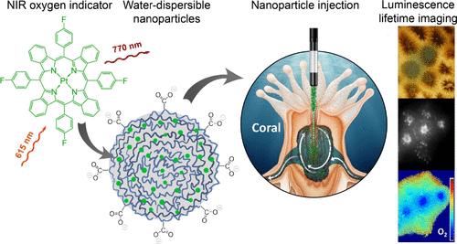 <i>In Vivo</i> Lifetime Imaging of the Internal O<sub>2</sub> Dynamics in Corals with near-Infrared-Emitting Sensor Nanoparticles.