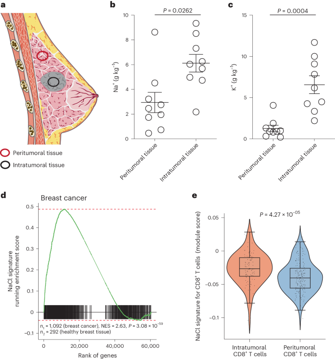 Sodium chloride in the tumor microenvironment enhances T cell metabolic fitness and cytotoxicity