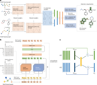 Learning motif-based graphs for drug–drug interaction prediction via local–global self-attention