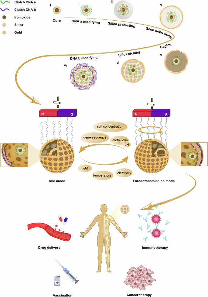 An emerging artificial nanomachine: a nanoengine with a reversible clutch.