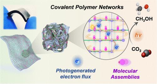 Photoelectrocatalytic CO<sub>2</sub> Reduction to Methanol by Molecular Self-Assemblies Confined in Covalent Polymer Networks.