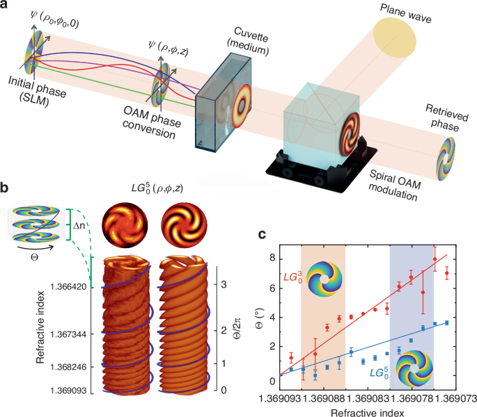 Phase preservation of orbital angular momentum of light in multiple scattering environment.