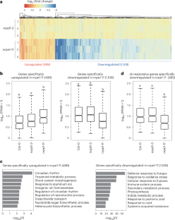 An RdDM-independent function of Pol V transcripts in gene regulation and plant defence.